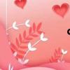 ccctv6（cCCTV）