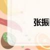 張振臣（關于張振臣介紹）