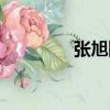 張旭陽（關于張旭陽介紹）