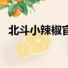 北斗小辣椒官網預定（北斗小辣椒怎么樣）