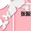 張振波（關于張振波介紹）