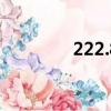 222.82.232:8082（22 2）