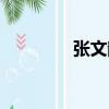 張文靜（關于張文靜介紹）