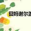 囧媽謝爾蓋是誰客串的（囧媽謝爾蓋）
