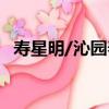 壽星明/沁園春（關于壽星明/沁園春簡介）