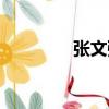 張文強（關于張文強介紹）