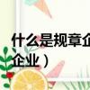 什么是規章企業什么是小微企業（什么是小微企業）