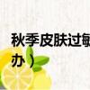 秋季皮膚過敏怎么辦圖片（秋季皮膚過敏怎么辦）