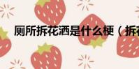廁所拆花灑是什么梗(拆花灑是什么梗)
