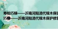 壽柏巧櫬——沂南河陽清代棺木保護修復與研究(關于壽柏巧櫬——沂南河陽清代棺木保護修復與研究簡介)
