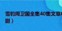 雪豹周衛國全集40集文章電視劇(文章 電視劇)