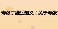 壽張丁維岳起義(關于壽張丁維岳起義簡介)
