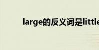 large的反義詞是little還是small