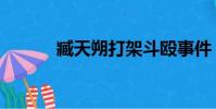 臧天朔打架斗毆事件(藏天塑)