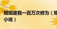 姐姐廢我一百萬次修為(姐姐廢我一百次修為小說)