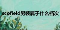 scofield男裝屬于什么檔次(scofield男裝)