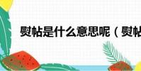 熨帖是什么意思呢(熨帖是什么意思)