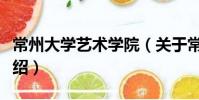 常州大學藝術學院(關于常州大學藝術學院介紹)
