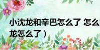 小沈龍和辛巴怎么了 怎么回事(辛巴和小沈龍怎么了)