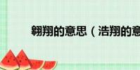 翱翔的意思(浩翔的意思是什么)