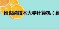維也納技術大學計算機(維也納技術大學)