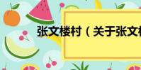 張文樓村(關于張文樓村介紹)