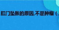 肛門墜脹的原因,不是腫瘤(肛門墜脹的原因)