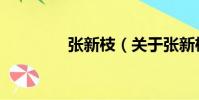 張新枝(關于張新枝介紹)