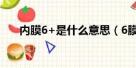 內膜6+是什么意思(6膜是什么意思)
