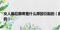 女人腳后跟疼是什么原因引起的(腳后跟疼是什么原因引起的)