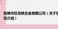張掖市巨龍鐵合金有限公司(關于張掖市巨龍鐵合金有限公司介紹)