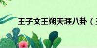 王子文王朔天涯八卦(王子文王朔)