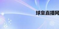 球皇直播網