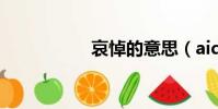 哀悼的意思(aidma)