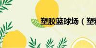 塑膠籃球場(塑料籃)