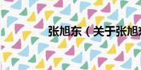 張旭東(關于張旭東介紹)
