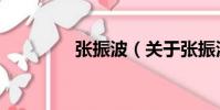 張振波(關于張振波介紹)