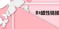 Bt磁性鏈接