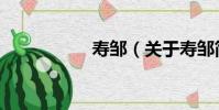 壽鄒(關于壽鄒簡介)