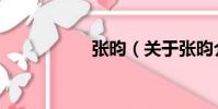 張昀(關于張昀介紹)