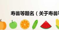 壽翁等題名(關于壽翁等題名簡介)