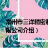 常州市三洋精密制版有限公司（關于常州市三洋精密制版有限公司介紹）