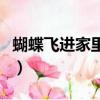 蝴蝶飛進家里預示什么（看見鬼蝴蝶預示什么）
