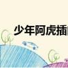 少年阿虎插曲是什么歌（少年阿虎插曲）