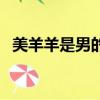 美羊羊是男的還是女的（暖羊羊是男是女）
