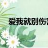 愛我就別傷害我 歌詞（愛我就別傷害我）