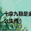 十拿九穩是金火是何肖（十拿九穩是金火是什么生肖）