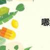 哪組詞語（些組詞語）