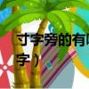 寸字旁的有哪些字,一年級（寸字旁的有哪些字）