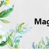 MagMellow（magme）